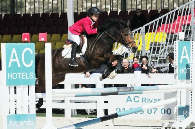 Salto a caballo en competicion